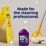 Professional All Purpose Cleaner & Degreaser - Lavender, 1 Gallon (Pack of 1)