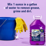 Professional All Purpose Cleaner & Degreaser - Lavender, 1 Gallon (Pack of 1)