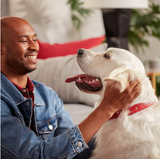 Milk-Bone Original Flavor, Large Crunchy Dog Treat Biscuits, 240 oz.