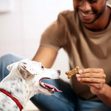 Milk-Bone Meat Flavored Snacks, Small Crunchy Dog Biscuits, 128 oz.