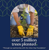 Quilted Northern Ultra Soft & Strong 2-Ply Toilet Paper 32 rolls, 244 sheets/roll