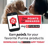 Purina Busy With Beggin' Twist'd Small/Medium Breed Dog Treats, 18 ct.