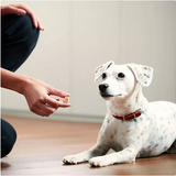 Milk-Bone MaroSnacks Dog Treats, 50 oz.