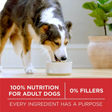 Purina ONE SmartBlend Natural Lamb and Rice, Adult Dry Dog Food, 44 lbs.