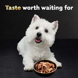 Cesar Variety Pack, Classic Loaf in Sauce Wet Dog Food, 3.5 oz., 48 ct.