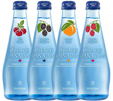Clearly Canadian Variety Pack Sparkling Water, 11 fl. oz., 12 pk.