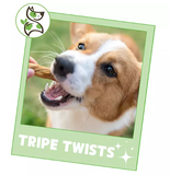 Nature Gnaws Beef Tripe Twists Dog Chews, 1 lb.