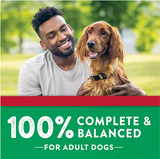 Purina Dog Chow Grilled Steak Flavor, Adult Soft Bites Dog Food, 60 ct.