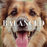 Burt'S Bees, Oatmeal Dog Shampoo, 32 Fl. Oz., 2 Pk.