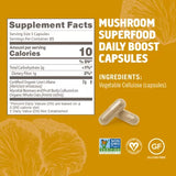 Om Mushroom Superfood Lion'S Mane Capsules, 195 Ct.