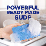 Ultra Platinum Foam Dishwashing Foam, Fresh Rapids Scent, 10.1 Fl Oz (Packaging May Vary)