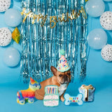 Party Animal Birthday Box Dog Toy Bundle, 5-Piece Set Blue