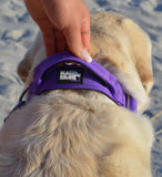 '- Tactical Dog Collar Ultra-Soft Neoprene Padded Dog Collars for Medium, Large, XL Dogs | Heavy Duty Metal Buckle | Padded Handle for Dog Training (Large, Purple)
