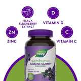 Nature’S Way Sambucus Elderberry Gummies, 120 Ct.