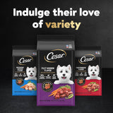 Small Breed Dry Dog Food Rotisserie Chicken Flavor and Spring Vegetables Garnish, 2.7 Lb. Bag