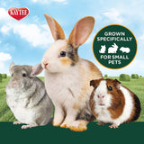 All Natural Timothy Hay plus Rose & Thyme for Guinea Pigs, Rabbits & Other Small Animals, 24 Ounce