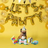 Let'S Pawty Birthday Box Dog Toy Bundle, 5-Piece Set White
