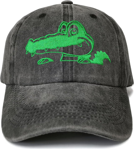 Embroidered Baseball Hats & Caps for Men Women