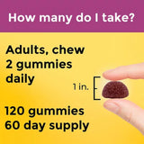 Nature Made Prenatal Folic Acid + DHA + Choline Gummies, 120 Ct.