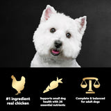 Small Breed Dry Dog Food Rotisserie Chicken Flavor and Spring Vegetables Garnish, 2.7 Lb. Bag