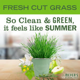Liquid Hand Soap, Fresh Cut Grass Scent, 12.5 Ounce Bottle