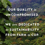 Community Coffee Coffee and Chicory Medium-Dark Roast Single Serve 72 Ct.