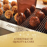 Collection, 24 Count, Premium Gourmet Assorted Hazelnut Milk Chocolate, Dark Chocolate and Coconut, 9.1 Oz