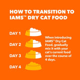Healthy Enjoyment Dry Cat Food Chicken & Salmon Recipe, 3 Lb. Bag