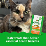 Feline Smartbites Healthy Indoor Cat Treats, Chicken Flavor, 2.1 Oz. Pack