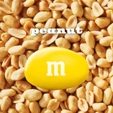 Fun Size Peanut Milk Chocolate Candy, 10.57 Oz Bag