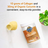 Multi-Sourced Protein Hydrolyzed Collagen Peptides Powder Supplements for Women Men Joints Mobility, Apple Cinnamon, Turmeric, 20 Servings, 7.76 Oz