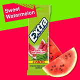 Watermelon Sugar Free Chewing Gum, 15 Ct (3 Pack)