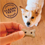 Wellness Minty Fresh Breath Dog Biscuits, Natural, Training Treats, Spearmint, Parsley, Oats, & Chicken Flavor, Mini Size, (20 Ounce Bag)