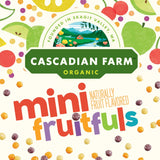 Organic Mini Fruitfuls Breakfast Cereal, Made with Whole Grain, Non-Gmo, 11.1 Oz
