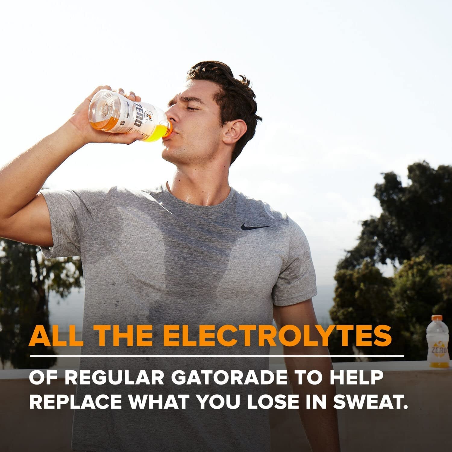 Thirst Quencher Zero Sugar Sports Drink, Orange, 12Oz Bottles, 12 Pack, Electrolytes for Rehydration