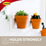 Display Ledges, Holds up to 2 Lb, Quartz, 2 Ledges with 8 Medium  Strips, Damage Free Hanging Floating Shelf with Adhesive Strips, Personalize Living Room, Bedroom, Kids Room or Office