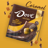 PROMISES Milk Chocolate & Caramel Candy, 12.67 Oz Large Bag