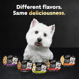 Simply Crafted Adult Wet Dog Food Meal Topper, Chicken, 1.3 Oz. (10 Count, Pack of 1)
