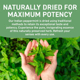 , Peppermint Tea, Eco-Conscious Tea Bags - 100 Count | Caffeine Free, Non-Gmo | Minty, Fresh & Cool Flavor | Direct from Source
