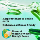Curl Quench + Coconut Oil Curl-Defining Anti-Frizz Conditioner to Hydrate and Detangle Tight Curly Hair, Softening Conditioner, Vegan, Silicone & Paraben-Free, 13 Fl Oz (Pack of 2)