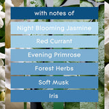 Candle Jar, Air Freshener, 2In1, Moonlit Walk & Wandering Stream, 3.4 Oz, 2 Count