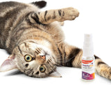 Catnip Mist Spray for Cats & Kittens, Safe for Pets - Trial Size, 0.5 Fluid Ounce