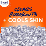 Blemish Fighting Ice Cleanser Face Wash with Salicylic Acid, Clears and Helps Prevent Acne Breakouts, Cools & Refreshes Skin, Oil Free, 6.77 Oz