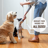 Rocco & Roxie Soft Dog Treats - Beef Jerky Sticks for Senior Dogs & Puppies - Best Training Treats for Small, Medium & Large Breeds - 1Lb
