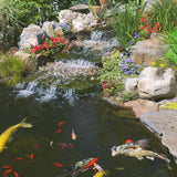 pond Koi Vibrance 1.43 Pounds, Soft Sticks, Floating Pond Food