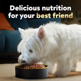Small Breed Dry Dog Food Rotisserie Chicken Flavor and Spring Vegetables Garnish, 2.7 Lb. Bag