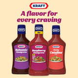 Raspberry Vinaigrette Lite Salad Dressing (16 Fl Oz Bottle)