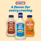 Chunky Blue Cheese Dressing (16 Fl Oz Bottle)