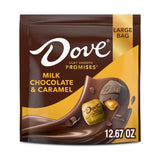 PROMISES Milk Chocolate & Caramel Candy, 12.67 Oz Large Bag