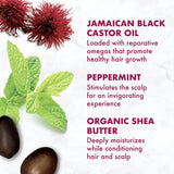Conditioner 100% Pure Jamaican Black Castor Oil to Intensely Smooth and Nourish Hair with Shea Butter, Peppermint and Apple Cider Vinegar 13 Oz